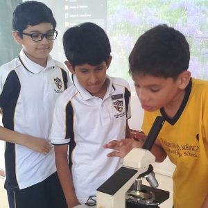 5to. grado de primaria – Proyecto: ¡Estamos hechos de células!»