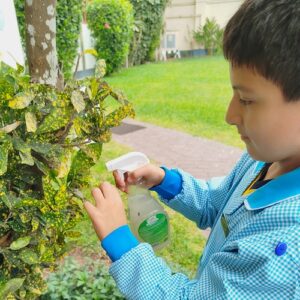 5to. grado de primaria – Proyecto: «Al rescate del jardín»