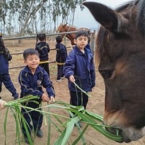 1er. grado de primaria – Visita de estudio al Fundo – La Querencia