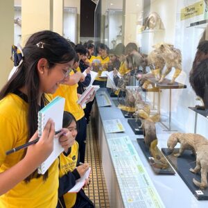 6to. grado de primaria – Visita de estudio al Museo Metropolitano de Lima y al Museo de Historia Natural