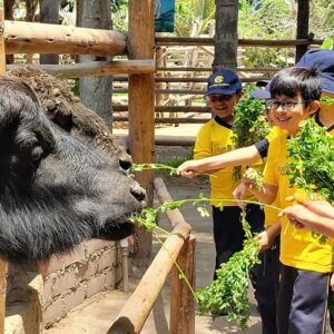 2.º grado de primaria – Visita de estudio a la Granja Interactiva Fundo San Vicente
